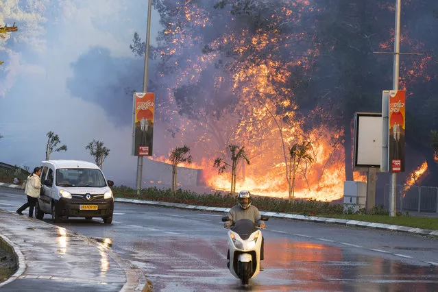 Israelis drive past a fire in the northern Israeli port city of Haifa on November 24, 2016. (Photo by Jack Guez/AFP Photo)