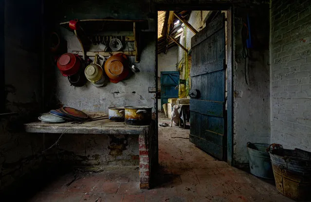 Claire in an abandoned farmhouse in Belgium. (Photo by Alice van Kempen/Caters News)