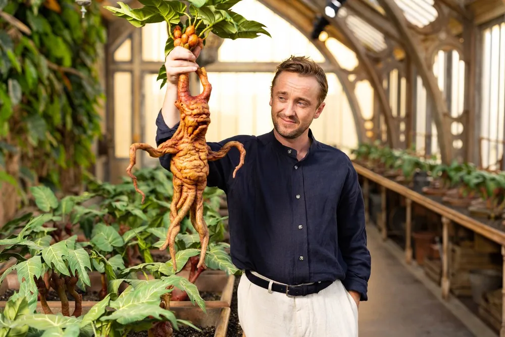 Pictures of the Year 2022, Part 070/163