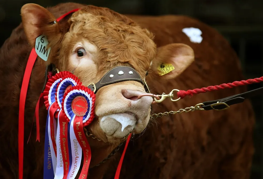 The Day in Photos – February 3, 2016