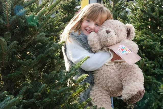 Five-year-old Julia cuddles a free teddy bear at a toy adoption station in a branch of Dobbies in Wallington, UK on December 4, 2023. Research shows almost half of parents (46%) in Britain plan to spend less on their children’s Christmas presents this year, and 47% believe their child would not mind receiving a preloved toy as a gift. (Photo by Michael Leckie/PA Wire Press Association)