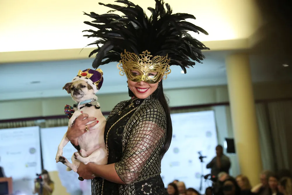 New York Pet Fashion Show 2019