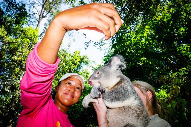 Japan's Naomi Osaka visits Lone Pine Koala Sanctuary ahead of the Brisbane International tennis tournament in Brisbane on December 29, 2023. (Photo by Patrick Hamilton/AFP Photo)