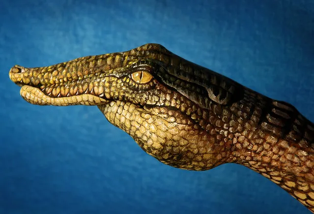 Models poses with their arm after it was painted by body artist Guido Daniele