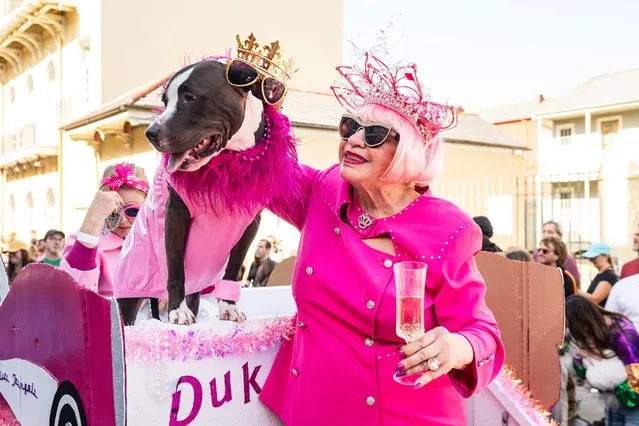 The Mystic Krewe of Barkus parade takes place in the French Quarter during 2024 Mardi Gras on February 04, 2024 in New Orleans, Louisiana. The theme for the canine parade was Barkus & Barbie: Pawsitively Pink! (Photo by Erika Goldring/Getty Images)
