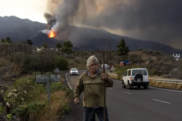 Nemesio, 69, takes his daily walk around his house, near the erupting volcano, on the Canary island of La Palma, Spain, Wednesday, October 27, 2021. Officials say a volcano erupting for the past five weeks on the Spanish island of La Palma is more active than ever. New lava flows have emerged following a partial collapse of the crater and threaten to engulf previously unaffected areas. (Photo by Emilio Morenatti/AP Photo)