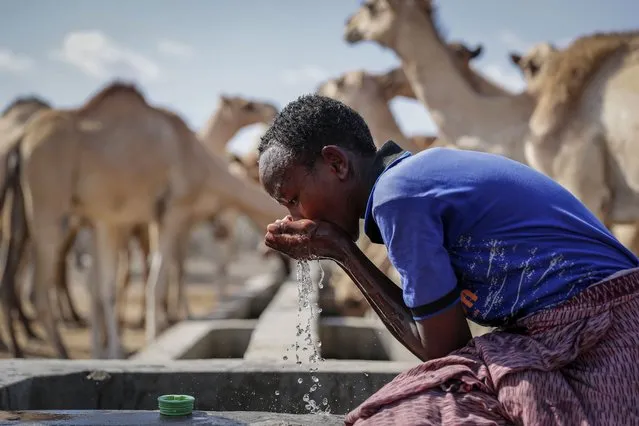 A herder boy who looks after livestock quenches his thirst from a water point in the desert near Dertu, Wajir County, Kenya Sunday, October 24, 2021. (Photo by Brian Inganga/AP Photo)