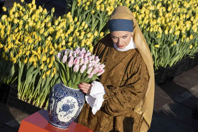 A woman dressed as Dutch Golden Age painter Johannes Vermeer's Girl with a Pearl Earring painting, poses for the media as scores of people waited to pick free tulips on national tulip day which marked the opening of the 2023 tulip season on Museum Square in Amsterdam, Netherlands, Saturday, January 21, 2023. (Photo by Peter Dejong/AP Photo)