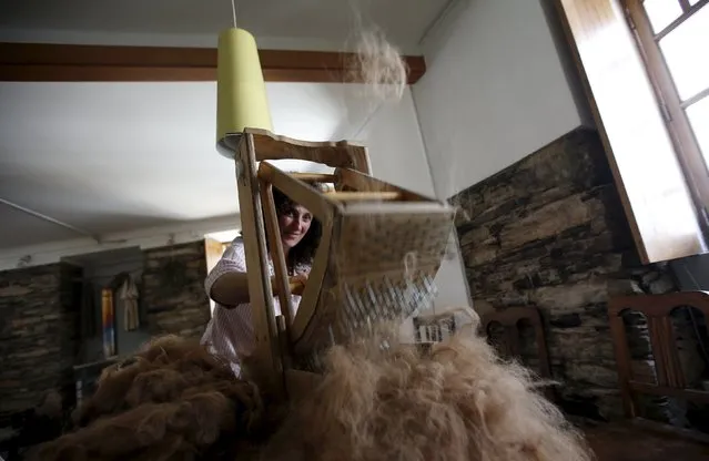 Lisa Vella-Gatt, 46, processes the wool of alpacas at her house in Benfeita, Portugal May 11, 2015. (Photo by Rafael Marchante/Reuters)