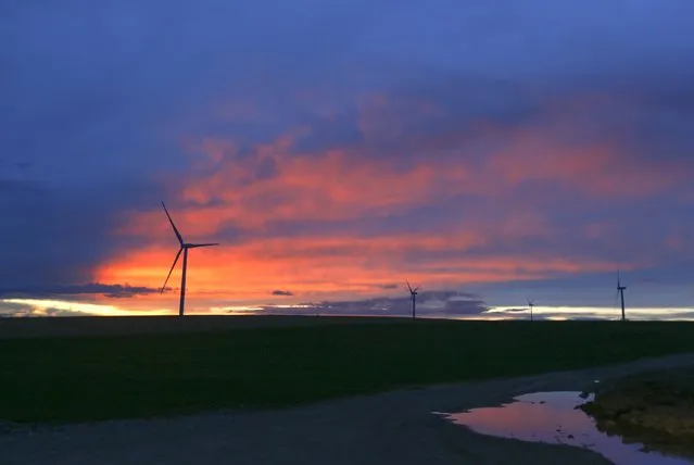 Windmills tower over a field near the city of Waremme, Belgium,  March 28, 2016. (Photo by Yves Herman/Reuters)