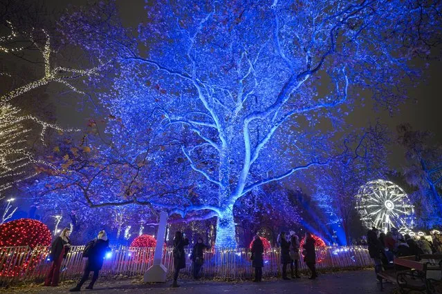 People take pictures of illuminated trees at a Christmas market in Vienna, Austria, Sunday, November 21, 2021. The Austrian government announced a nationwide lockdown that will start Monday and comes as average daily deaths have tripled in recent weeks and hospitals in heavily hit states have warned that intensive care units are reaching capacity. (Photo by Vadim Ghirda/AP Photo)