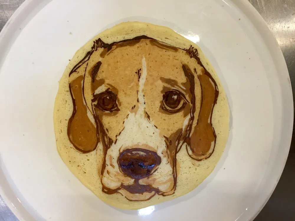 Pet Pancakes