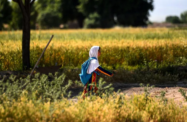 In this photo taken on May 12, 2019, an Afghan girl walks towards her school along a field on the outskirts of Mazar-i-Sharif. (Photo by Farshad Usyan/AFP Photo)