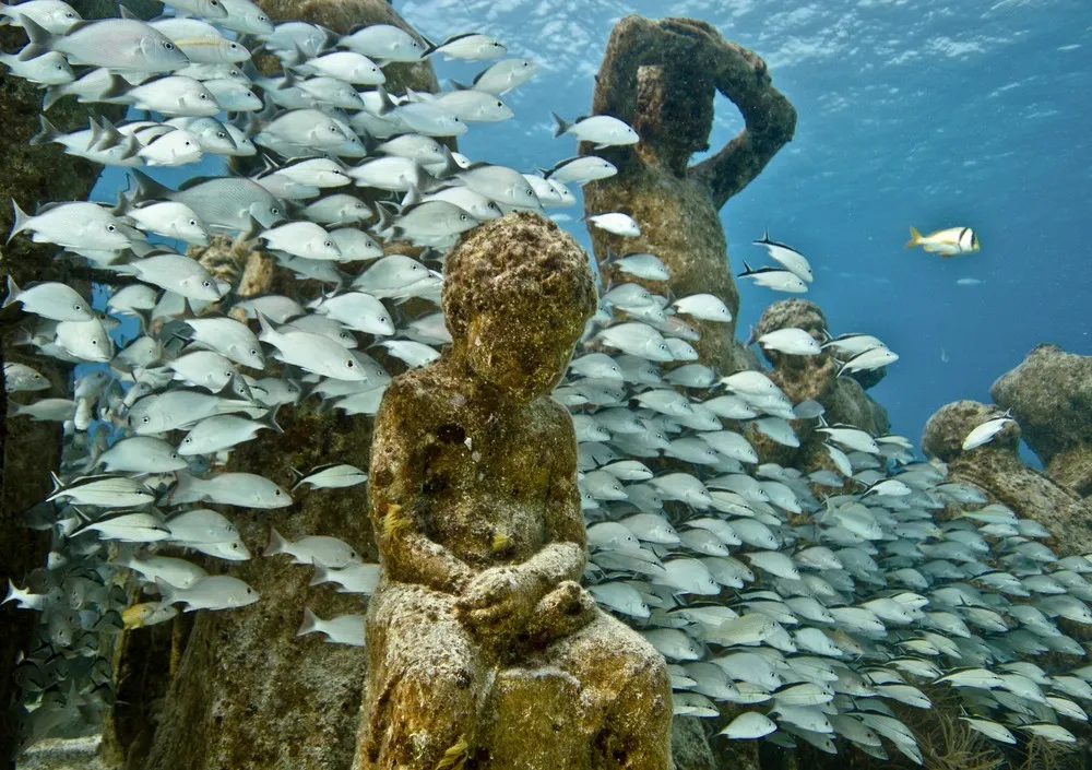 Underwater Sculpture, Part 1: “The Silent Evolution”