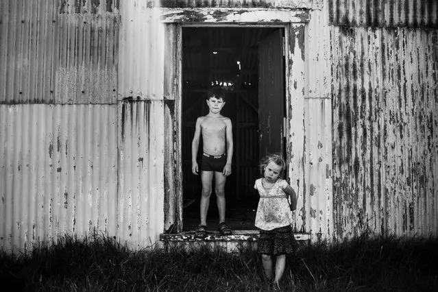 New Zealand photographer Niki Boon captured her children, who are growing up with limited electronics, in the photo series “Childhood in the Raw Photos”. Niki Boon began taking photos as a hobby while she was working as a physiotherapist in Scotland. However, the New Zealand native found her interest in the art waning while she travelled, and it wasn’t until she had returned home and started raising a family that her passion was rekindled. “Childhood in the Raw”, an ongoing photo series of her four children’s technology-free life on her 10-acre property in New Zealand, is the perennial fruit of this passion. (Photo by Niki Boon)
