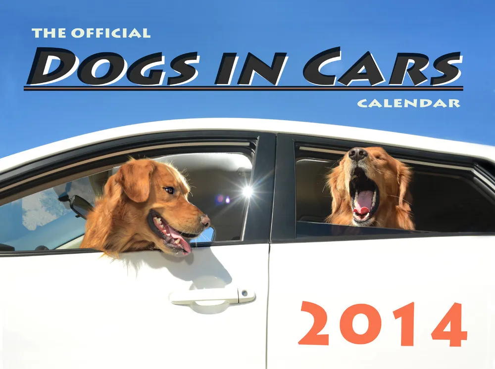 “Dogs in Cars”