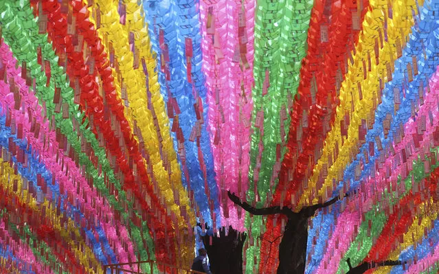 A worker checks the lanterns in preparation for the upcoming celebration of Buddha's birthday on May 3 at the Jogye temple in Seoul, South Korea, Monday, April 3, 2017. Many Buddhists visit the temple across the nation to celebrate the Buddha's birthday and pray with their wishes. (Photo by Lee Jin-man/AP Photo)
