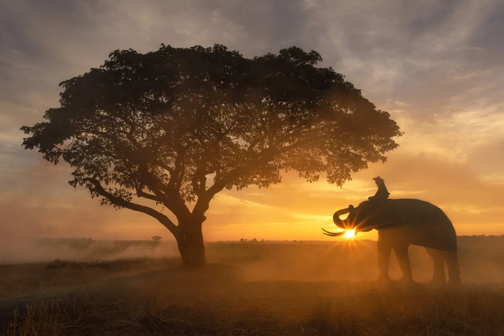 Sunset in Thailand