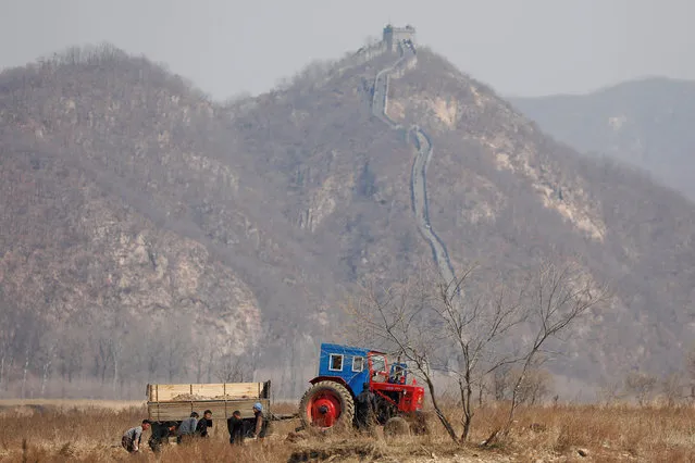 North Korean farmers work in a field as a section of the Great Wall is seen on the Chinese side of the Yalu River, north of the town of Sinuiju in North Korea and Dandong in China's Liaoning province, April 2, 2017. In the Northeast Asia Special Region straddling China's border with North Korea, the area around Nanping village is dotted with half-finished buildings, cranes on empty lots, piles of concrete pipes and a few construction workers. What was planned in 2011 as a 30 billion yuan ($4.36 billion) development intended to showcase economic engagement between the two countries has stalled in recent months.No reasons have been given and no announcements have been made in official media. (Photo by Damir Sagolj/Reuters)