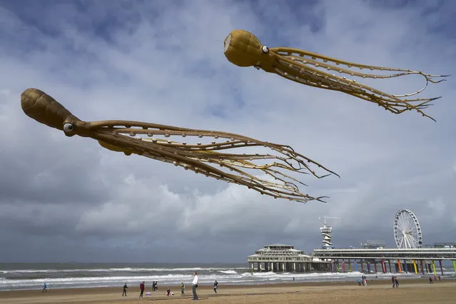 Huge kites in shapes of marine animals float above the attendees on September 28, 2019 in Scheveningen, The Hague, Netherlands. The International Kite Festival, held at Scheveningen beach in The Hague, is attended by more than 200 participants from all over the world. Not all could participate this year due to unusually strong wind. (Photo by Nacho Calonge/Getty Images)