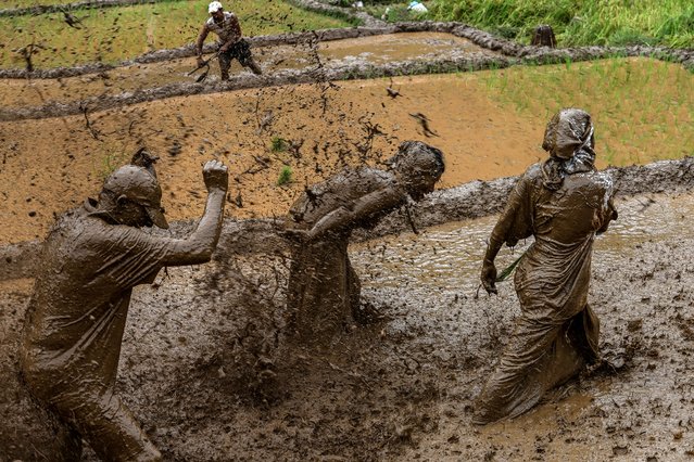 Farmers play with mud as they plant rice on “National Paddy Day of Nepal” in Dhading district on June 29, 2024. (Photo by Prakash Mathema/AFP Photo)