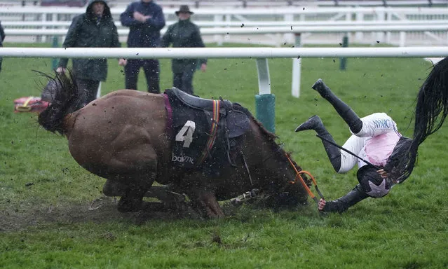 Journey With Me and jockey Rachael Blackmore fall in the Ballymore Novices' Hurdle during during day two of the Cheltenham Festival at Cheltenham Racecourse, England, Wednesday March 16, 2022. (Photo by Mike Egerton/PA Wire via AP Photo)