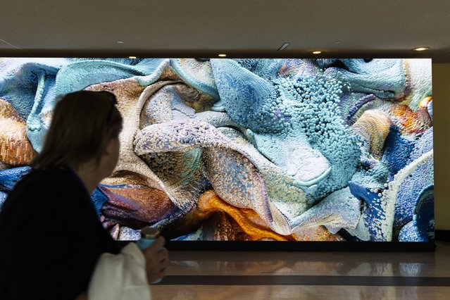 A person walks past an AI-generated video art installation entitled “Large Nature Model: Coral” by artist Refik Anadol at the United Nations headquarters in New York, New York, USA, 19 September 2024. According to the artist, the video art is generated using the world's first open-source generative AI model focused solely on nature, using a dataset 100 million images and is intended to speak to the impact of climate change on our marine ecosystems. The annual meeting of world leaders for the General Debate of the 79th session of the United Nations General Assembly will occur in New York on 24 September 2024. (Photo by Justin Lane/EPA)