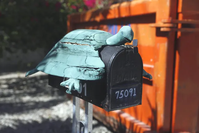 A mailbox in the shape of a turtle is seen along the highway US-1 in the Lower Keys near Islamorada in Florida, July 11, 2014. (Photo by Wolfgang Rattay/Reuters)