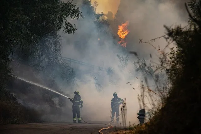 Firefighters try to put down a fire near the city of Massarosa, central Italy, on July 20, 2022. (Photo by Federico Scoppa/AFP Photo)
