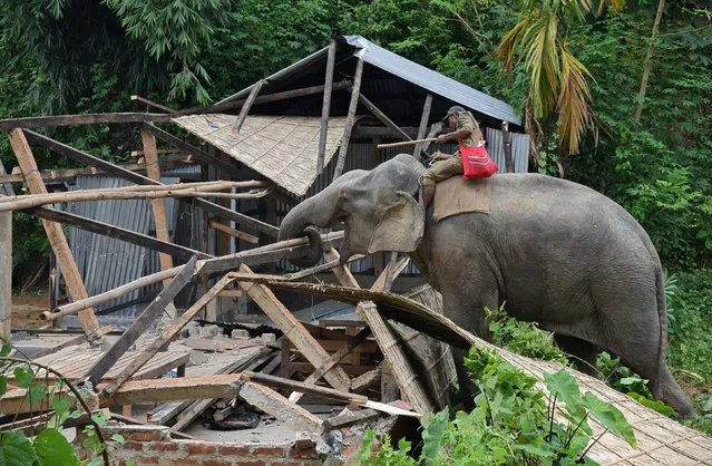 A mahout guides his elephant to demolish huts which forest officials claimed were illegally built at the Amchang Wildlife Sanctuary in Guwahati, India August 25, 2017. (Photo by Anuwar Hazarika/Reuters)