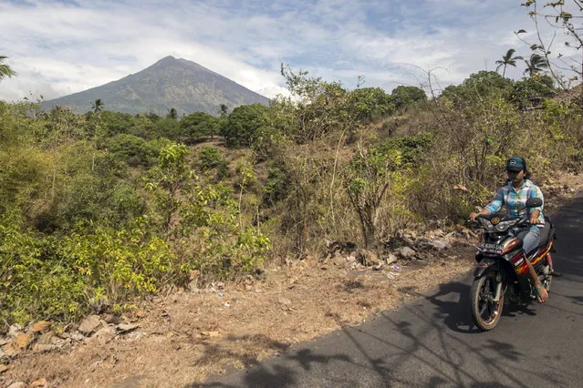 A villager rides past by with Mount Agung seen in the background in Karangasem, Bali, Indonesia, Sunday, September 24, 2017. Thousands of villagers on the Indonesian resort island have been evacuated to temporary shelters amid fear that Mount Agung will erupt for the first time in more than half a century. Its last eruption in 1963 killed 1,100 people. (Photo by J.P. Christo/AP Photo)