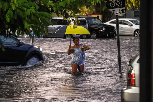 A woman walks in flooded water during a heavy rainfall in Miami, on May 26, 2020. Residents of South Florida couldn't enjoy the recent reopening of restaurants, businesses, and beaches after almost two months of quarantine due to the pandemic: three days in a row of heavy rains, which reached 6 inches on May 26, caused severe floods in Miami and other coastal cities affected by rising sea levels. (Photo by Chandan Khanna/AFP Photo) 