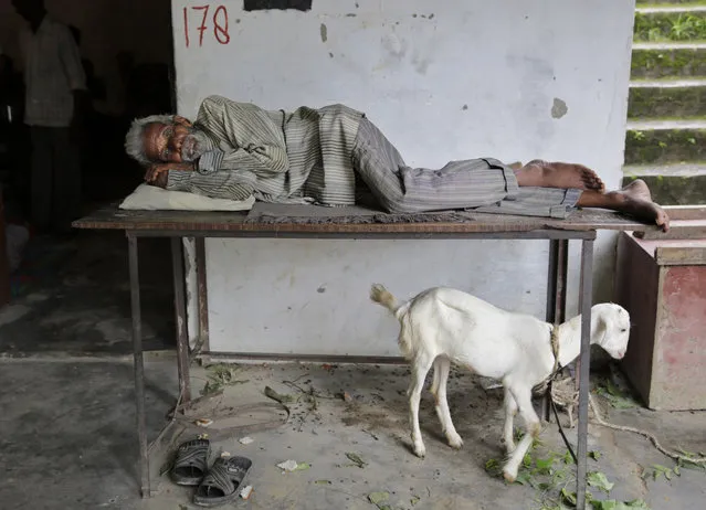 A man takes a rest at a temporary shelter after several areas were flooded in Allahabad, India, Monday, August 22, 2016. Heavy rainfall in the upper reaches of the country has caused rivers to overflow endangering lives and properties of people along the river Ganges as also in other parts of the country. (Photo by Rajesh Kumar Singh/AP Photo)