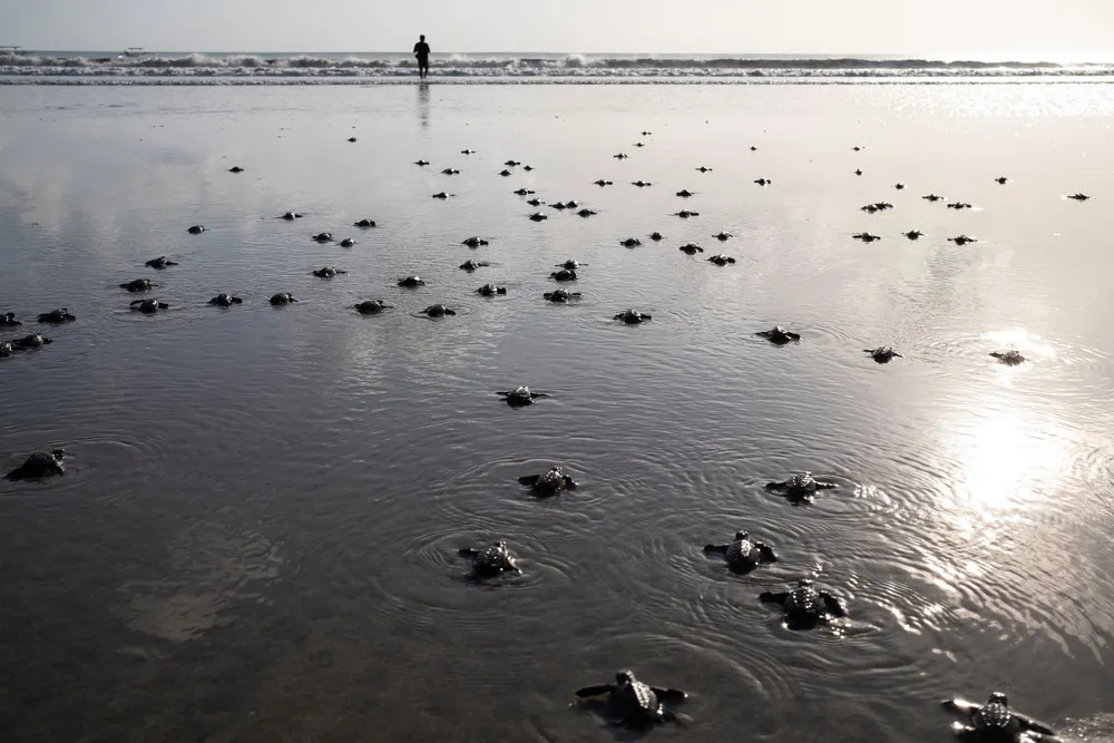 A Look at Life in Indonesia, Part 2/2