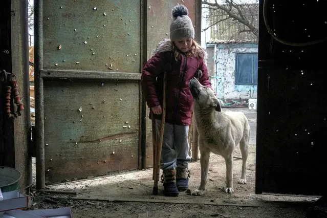Local resident Zlata, 6, pets a dog as she stands at a gate with holes created by shrapnel near her house, as Russia's attack on Ukraine continues, in the village of Posad-Pokrovske, Kherson region, Ukraine on December 7, 2022. (Photo by Anna Voitenko/Reuters)