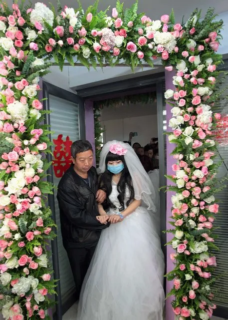 Bride Fan Huixiang, a 25-year-old cancer patient, is helped by her father as they walk under a flowered arch during her wedding at a hospital in Zhengzhou, Henan province November 17, 2014. (Photo by Reuters/China Daily)