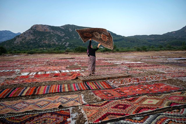 A worker holds an handwoven carpet laid out in an open field to soften its colours under sizzling sun in Dosemealti district in Antalya on July 22, 2025. Thousands of carpets and kilims spread out in the sun form a festive and colourful patchwork on the outskirts of Antalya, the large coastal tourist city in southern Turkey. From June to September, in the harvested fields cleared of stubble, traders bring their cargoes to age in the sun, tempering the overly bright hues of their natural colours under its rays and ridding them of any unwanted elements. (Photo by Ozan Kose/AFP Photo)