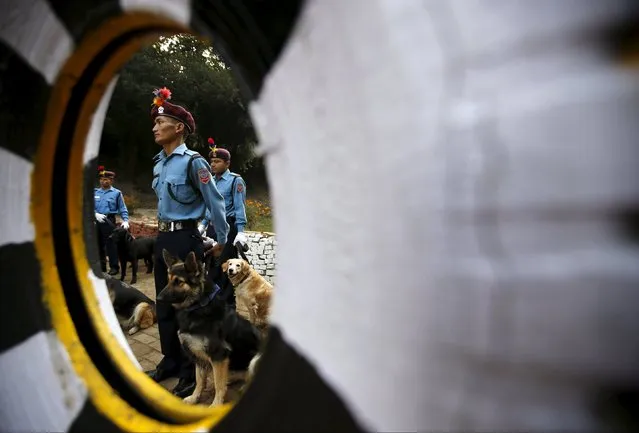 Nepalese police officers stand in attention with their dogs during the dog festival as part of celebrations of Tihar at Central Police Dog Training School in Kathmandu, Nepal November 10, 2015. (Photo by Navesh Chitrakar/Reuters)