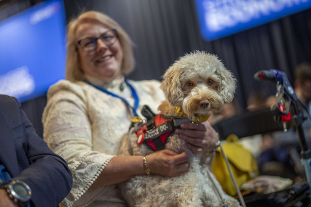 Natalie Gudgeon, a former teacher who now works with deaf and neurodivergent students, with her assistance dog Oakley at the Conservative Party conference on October 7, 2025 in Manchester. (Photo by James Glossop/The Times & Sunday Times)