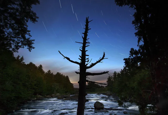 In this Wednesday, August 9, 2017 photo, a dead spruce tree stands on the shore of the East Branch of the Penobscot River in this time exposure in the Katahdin Woods and Waters National Monument near Patten, Maine. Interior Secretary Ryan Zinke wants to retain the newly created monument but said he might recommend adjustments to the White House on Thursday, Aug. 24, 2017. (Photo by Robert F. Bukaty/AP Photo)