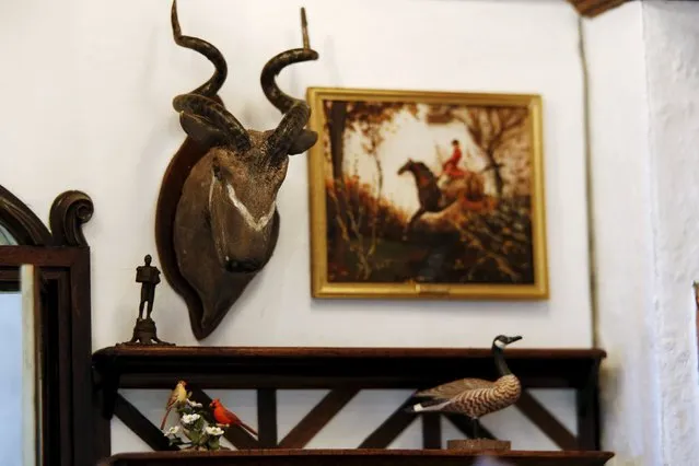 A painting and trophy are shown in the "trophy room" of the Astolat Castle, a 3 metre (9 foot) tall dollhouse, currently on display in New York November 14, 2015. (Photo by Lucas Jackson/Reuters)