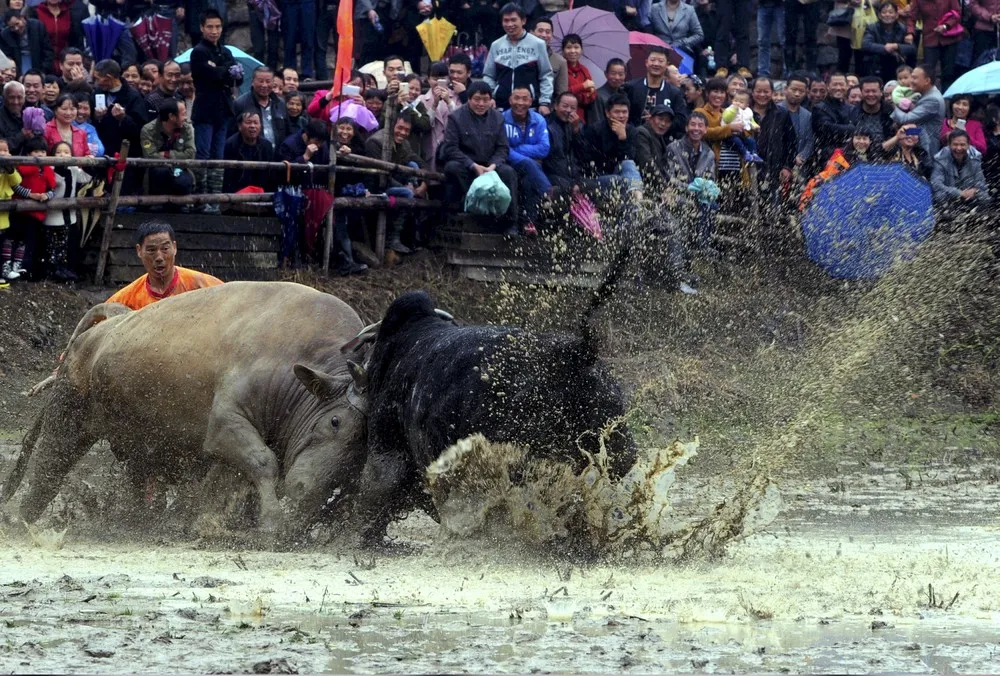 The Day in Photos – November 19, 2015