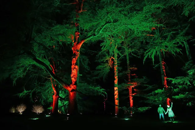 Visitors pose for a photograph during the Enchanted Christmas event at the Forestry Commission's National Arboretum in Westonbirt, Tetbury, western England November 25, 2015. (Photo by Eddie Keogh/Reuters)