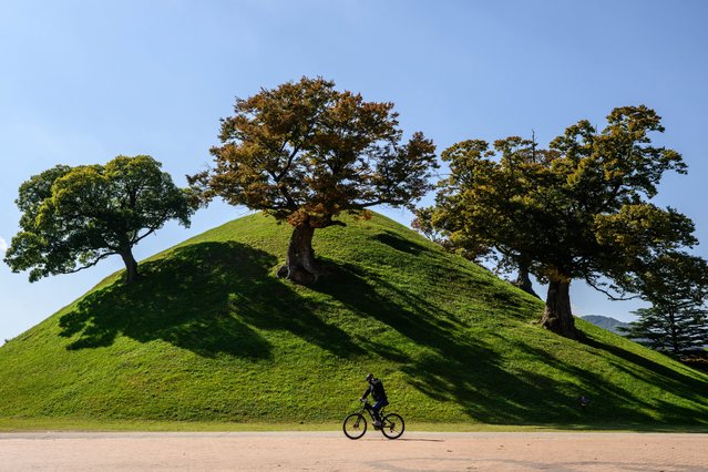 A cyclist rides past a tumulus tomb in Gyeongju, South Korea on November 1, 2025. (Photo by Anthony Wallace/AFP Photo)
