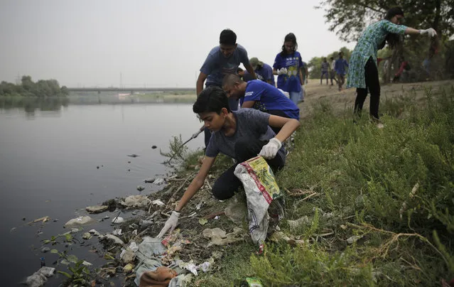 Volunteers clean the banks of Yamuna, India's sacred river that flows through New Delhi, Tuesday, June 5, 2018. (Photo by Altaf Qadri/AP Photo)