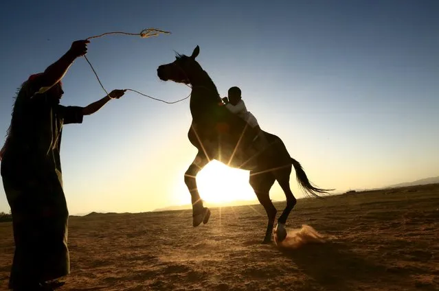 A Saudi man trains his son to ride a horse in a desert near Tabuk, Saudi Arabia, December 11, 2015. (Photo by Mohamed Al Hwaity/Reuters)