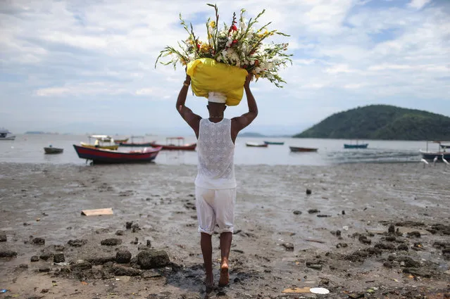 A worshipper carries flowers to be left in the water as offerings on Guanabara Bay during a Candomble ceremony honoring goddesses Iemanja and Oxum on December 13, 2015 in Sao Goncalo, Brazil. Candomble is an Afro-Brazilian religion whose practitioners sometimes fall into trances during ceremonies believing they have become possessed by gods, or orixas. The roots of the Candomble religion came to Brazil via African slaves and eventually incorporated some elements of Catholicism. (Photo by Mario Tama/Getty Images)