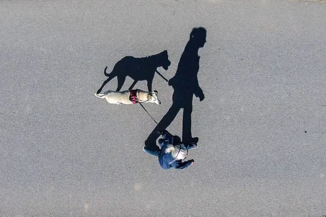 Strong autumn sunlight casts deep shadows on a street as a woman takes her pet dog for a walk in Straubing, Bavaria, southern Germany 1 October 2015. (Photo by Armin Weigel/EPA)