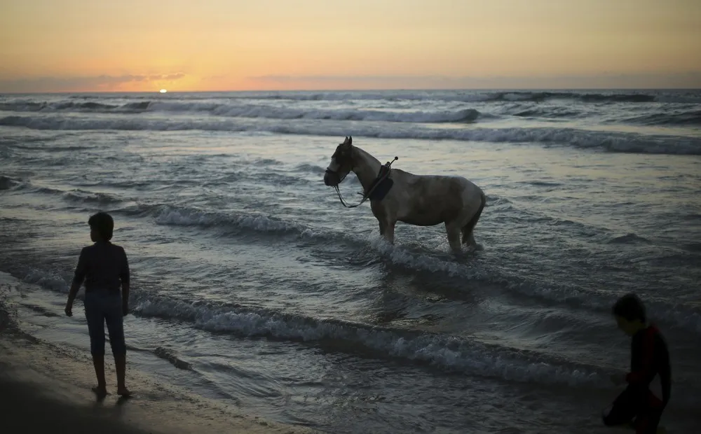 Palestinians Daily Life