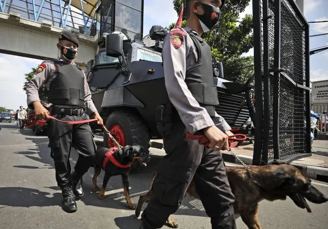 Members of the police K-9 unit lead sniffer dogs past an armored vehicle as they patrol outside the East Jakarta District Court where the sentencing hearing of firebrand cleric Rizieq Shihab is held in Jakarta, Indonesia, Thursday, May 27, 2021. Judges are scheduled to deliver their verdict on the trial of Shihab, the leader of now-banned Islam Defenders Front, who was accused of inciting people to breach pandemic restrictions by holding events attended by thousands of supporters to commemorate Prophet Muhammad's birthday and the wedding of his daughter in November last year. (Photo by Dita Alangkara/AP Photo)